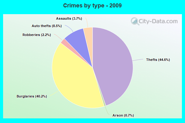 Crimes by type - 2009