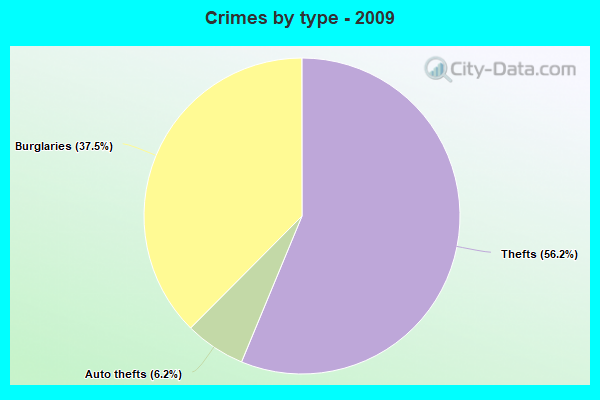 Crimes by type - 2009