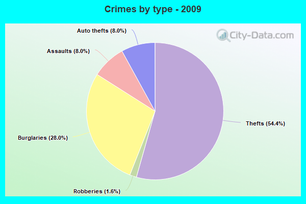 Crimes by type - 2009