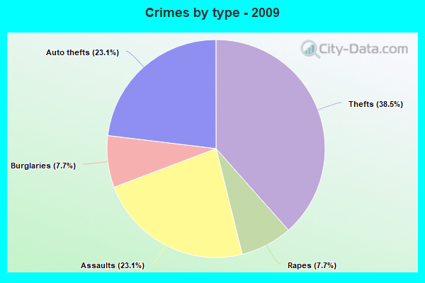 Crimes by type - 2009