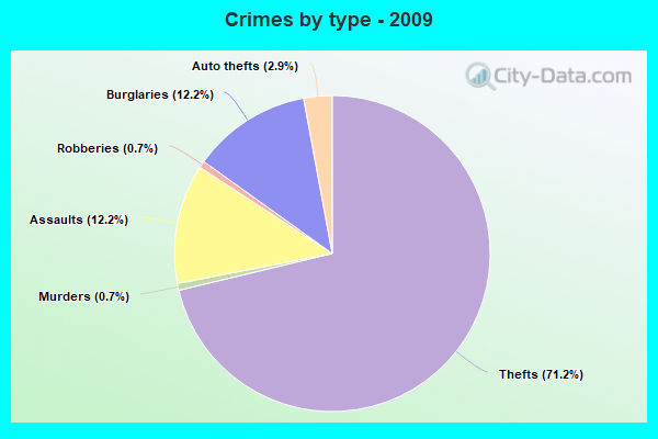 Crimes by type - 2009