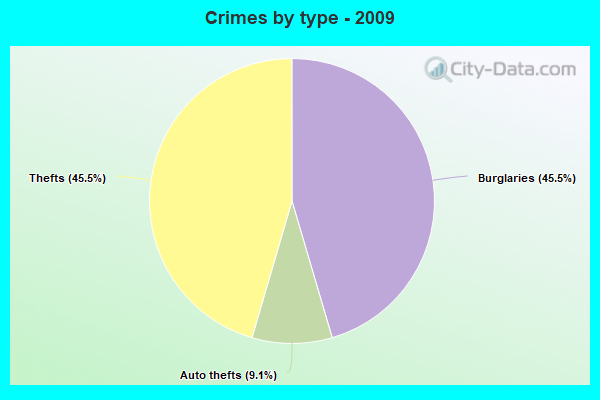 Crimes by type - 2009