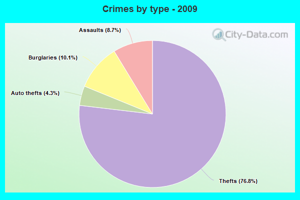 Crimes by type - 2009