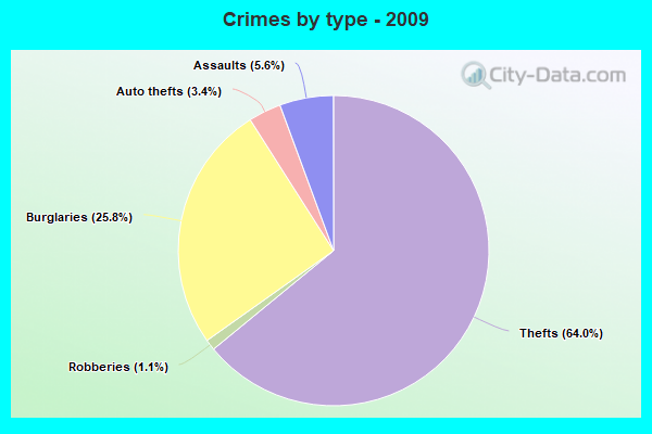 Crimes by type - 2009