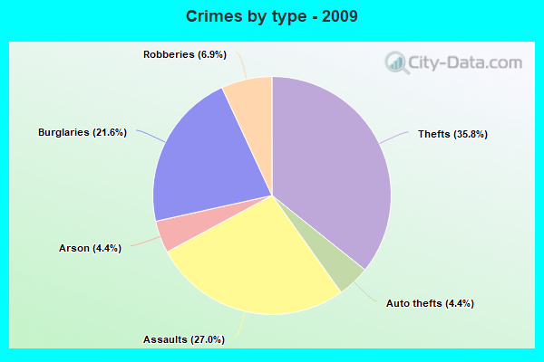 Crimes by type - 2009