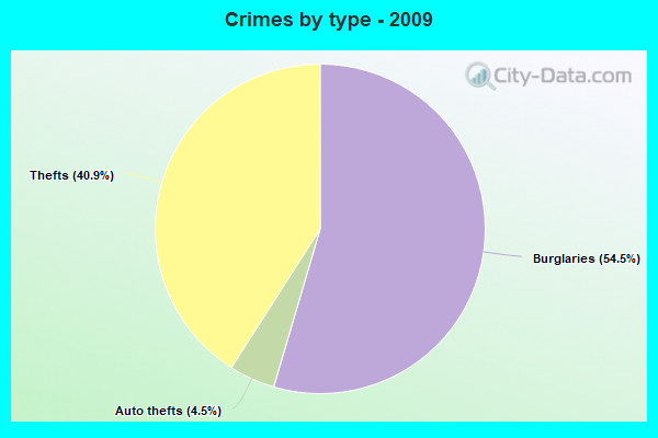 Crimes by type - 2009