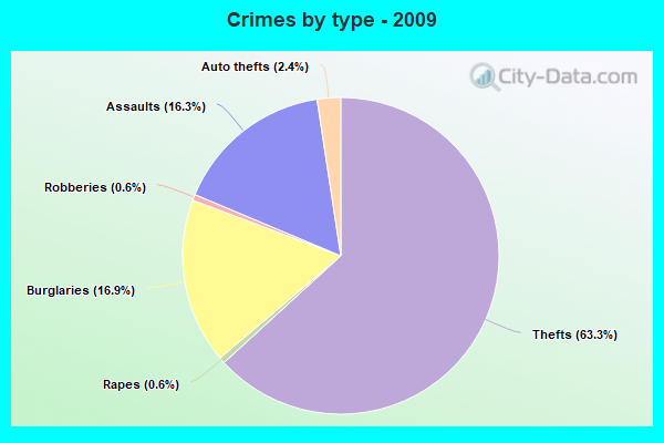 Crimes by type - 2009