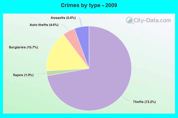 Crimes by type - 2009