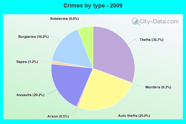 Crimes by type - 2009