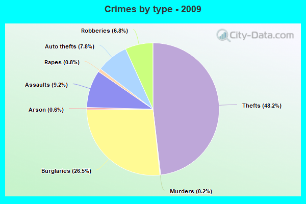 Crimes by type - 2009