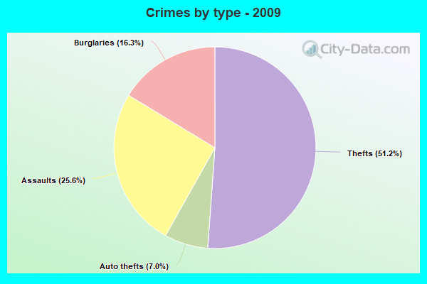 Crimes by type - 2009