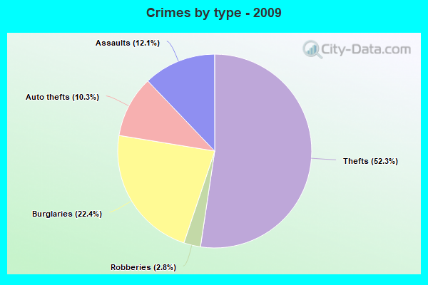 Crimes by type - 2009