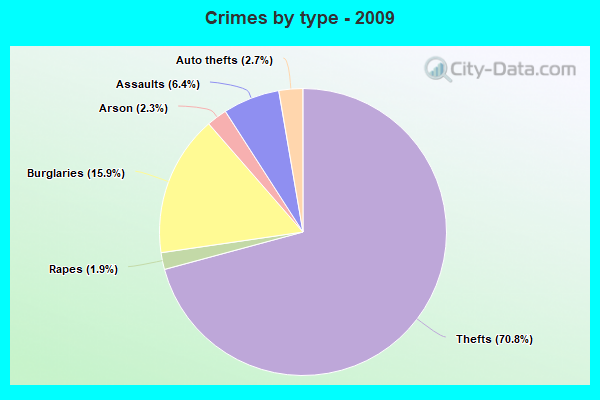 Crimes by type - 2009