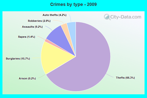 Crimes by type - 2009