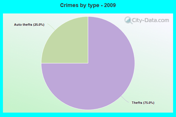 Crimes by type - 2009