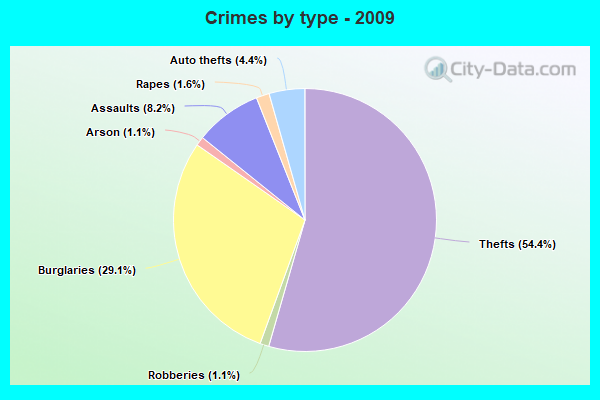 Crimes by type - 2009