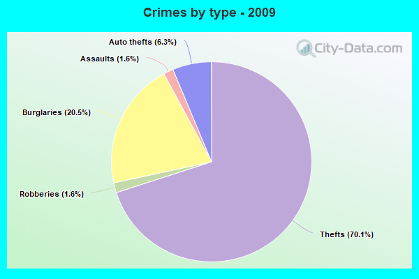 Crimes by type - 2009