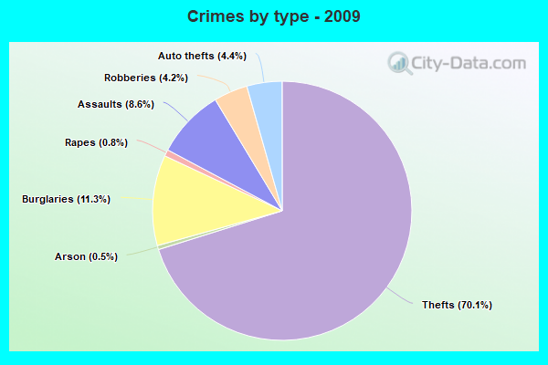 Crimes by type - 2009