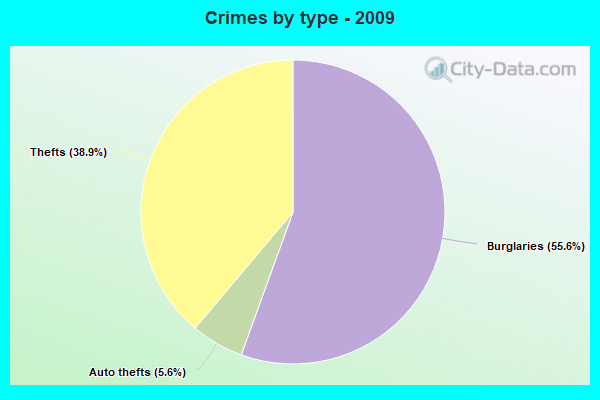 Crimes by type - 2009