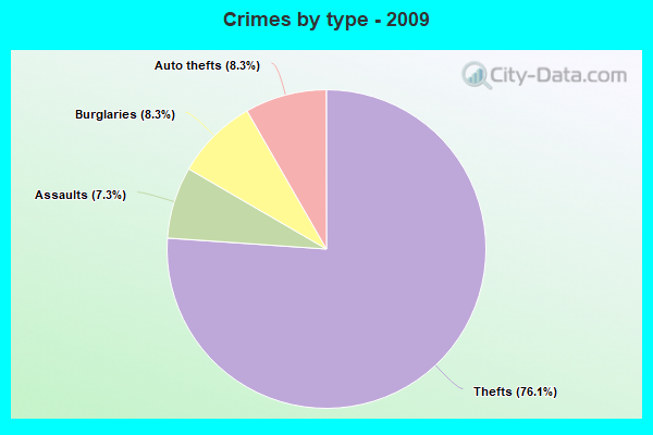 Crimes by type - 2009