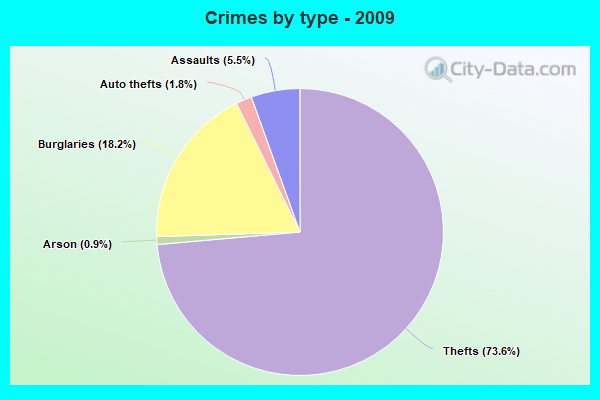 Crimes by type - 2009