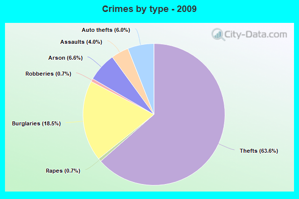 Crimes by type - 2009