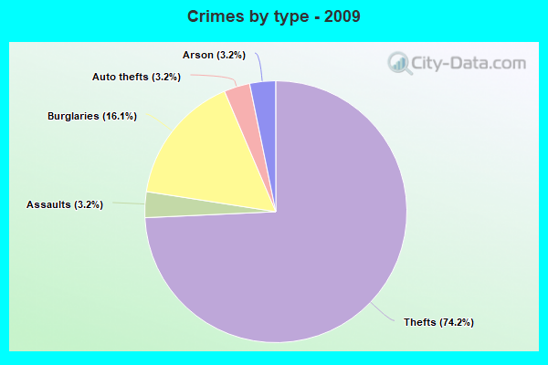 Crimes by type - 2009