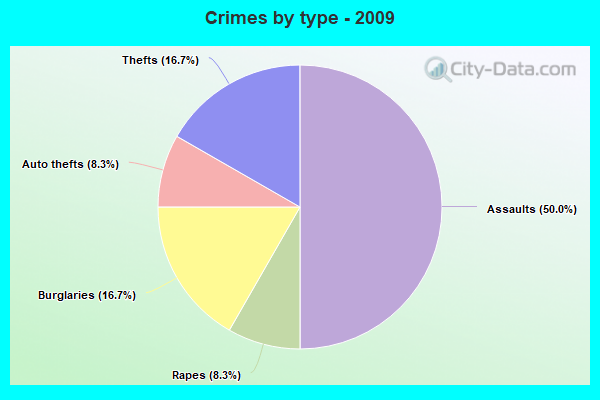 Crimes by type - 2009