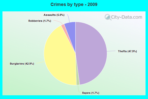 Crimes by type - 2009