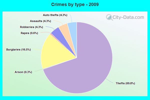 Crimes by type - 2009