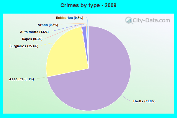 Crimes by type - 2009