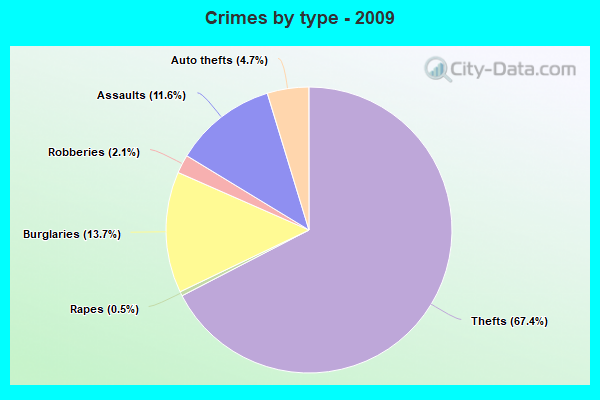 Crimes by type - 2009