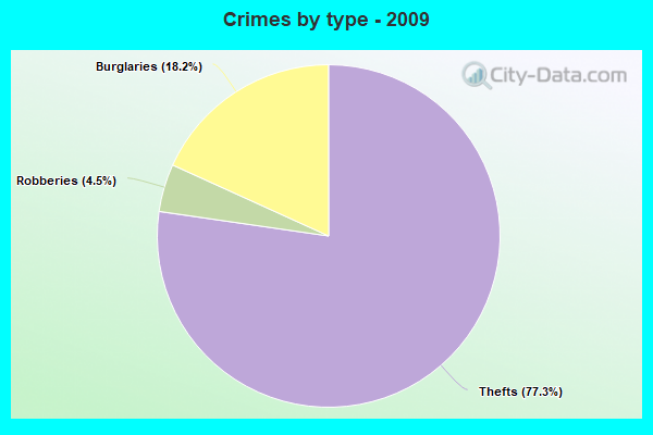 Crimes by type - 2009