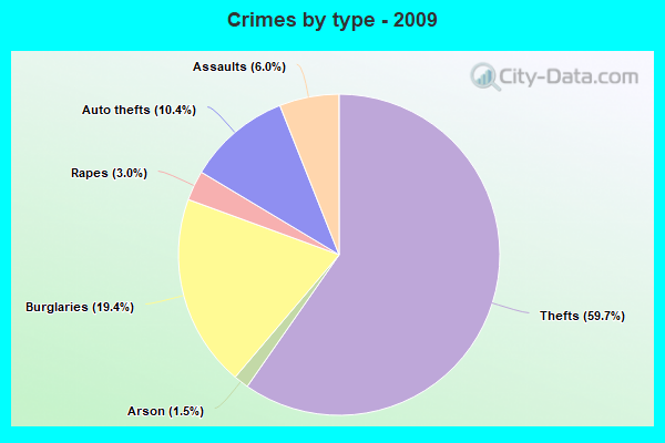 Crimes by type - 2009