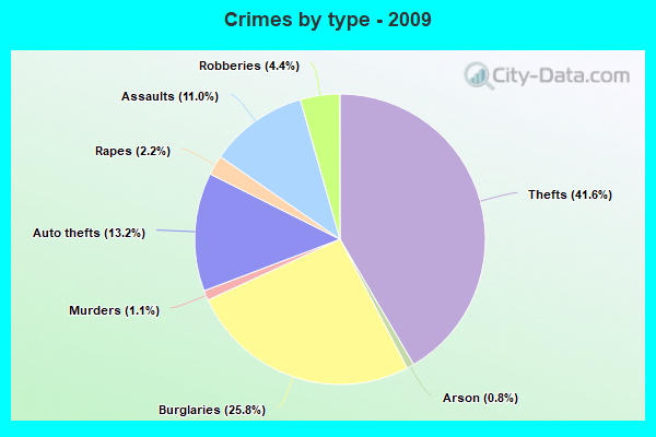 Crimes by type - 2009