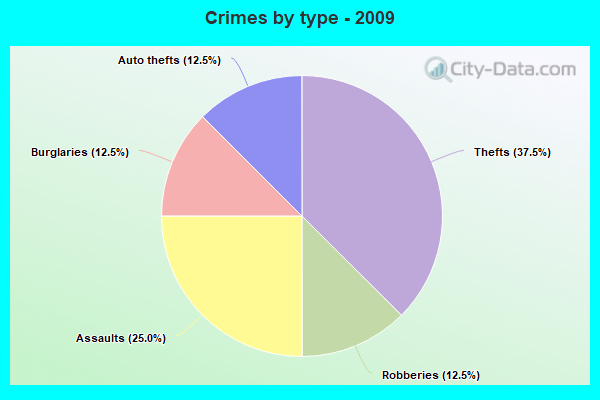 Crimes by type - 2009