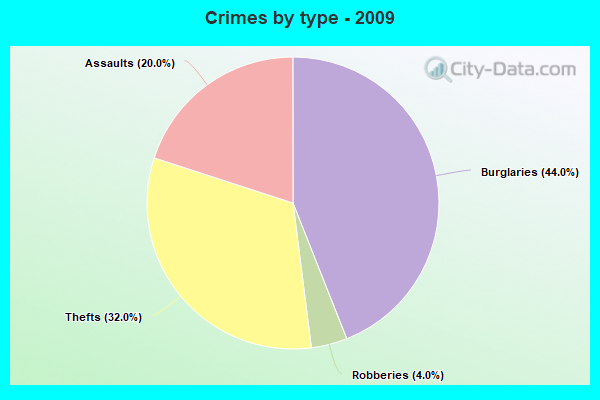 Crimes by type - 2009