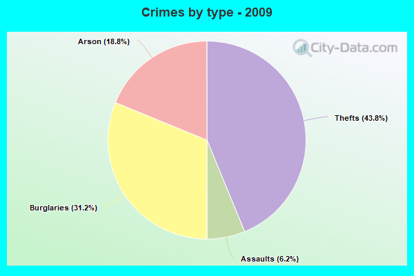 Crimes by type - 2009