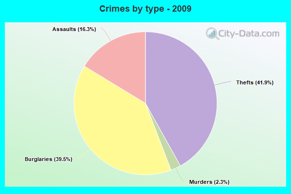 Crimes by type - 2009