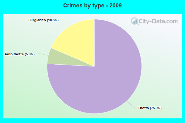 Crimes by type - 2009