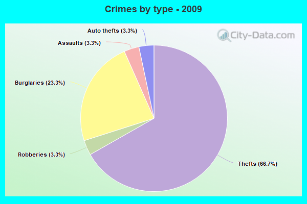 Crimes by type - 2009