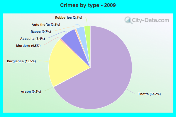 Crimes by type - 2009