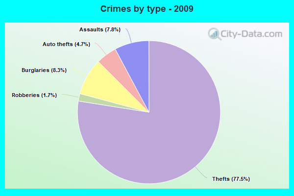 Crimes by type - 2009