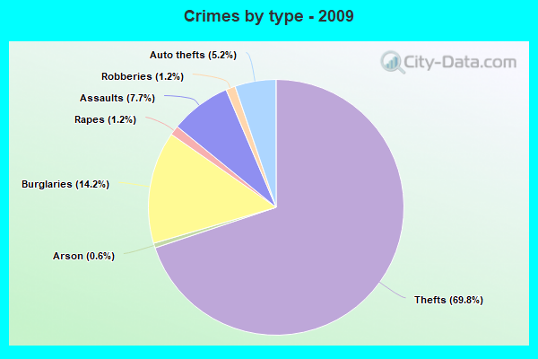 Crimes by type - 2009