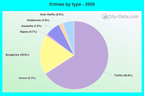 Crimes by type - 2009