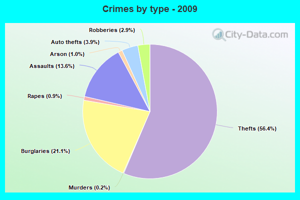 Crimes by type - 2009