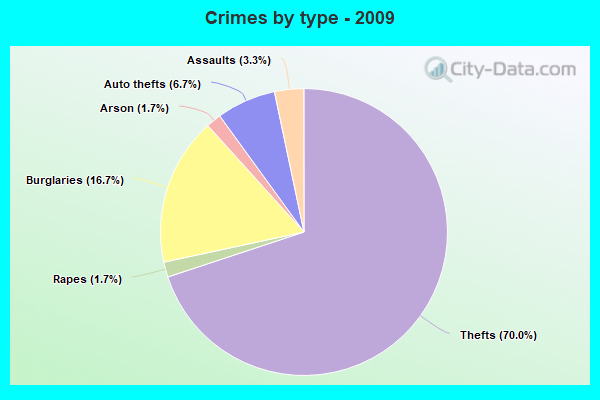 Crimes by type - 2009