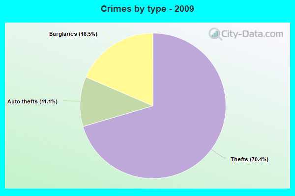 Crimes by type - 2009