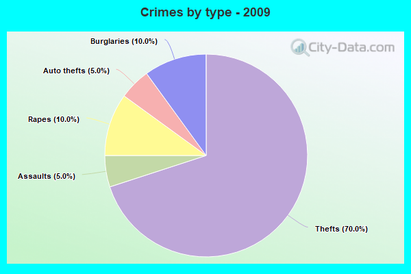 Crimes by type - 2009