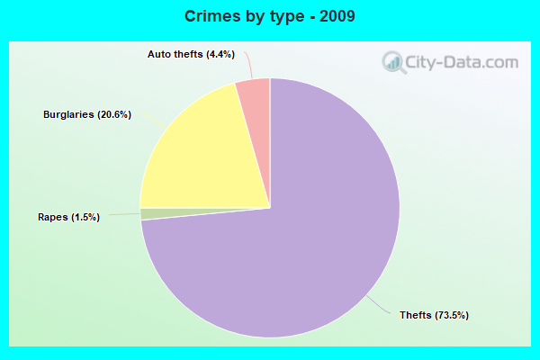 Crimes by type - 2009